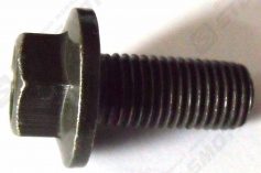 Болт с фланцем M10х1.25х22мм , сталь