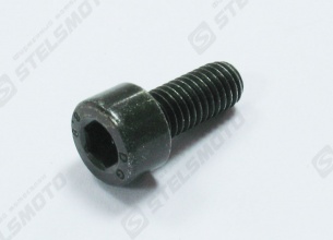 Болт с цил.головк.и вн.шестигр. M5х0.8х12мм, сталь STELS UTV 500 H