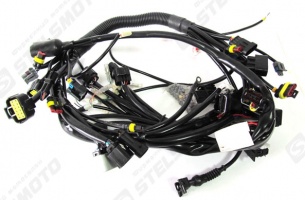Комплект электропроводов для монтажа электрооборудования (ECU1) (12В) STELS 600 BENELLI