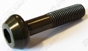 Болт с цил.головк.и вн.шестигр. M10х1.25х45мм, сталь STELS TRIGGER 50 SM/X