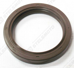 Сальник 42×55×8мм STELS UTV 700H EFI