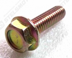 Болт с фланцем M6х1.0х22мм , сталь