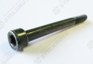Болт с цил.головк.и вн.шестигр. M6х1.0х60мм, сталь STELS 600 BENELLI
