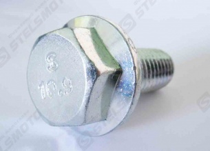 Болт с фланцем M10×1.25×25мм -10Т , сталь STELS ATV 800D