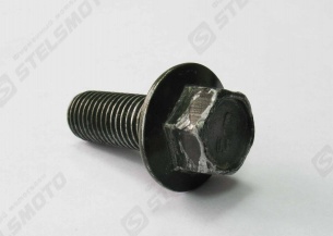Болт с фланцем M10x1.25x25мм, сталь STELS ATV 700D 2010