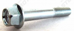 Болт с фланцем M10х1.25х60мм , сталь